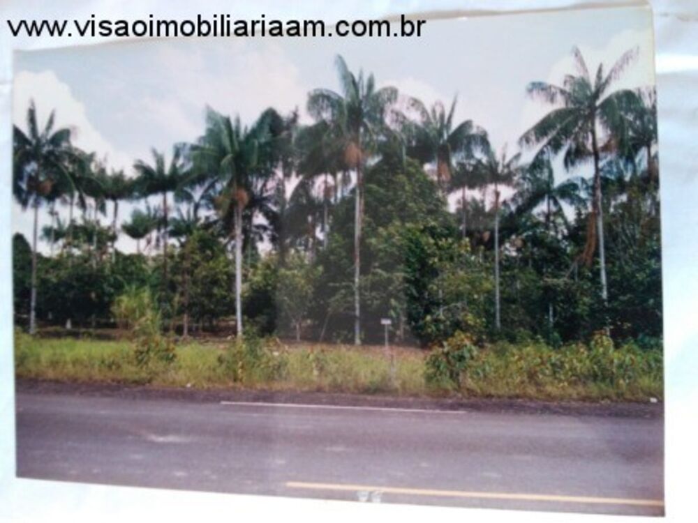Sítio à venda - Foto 1