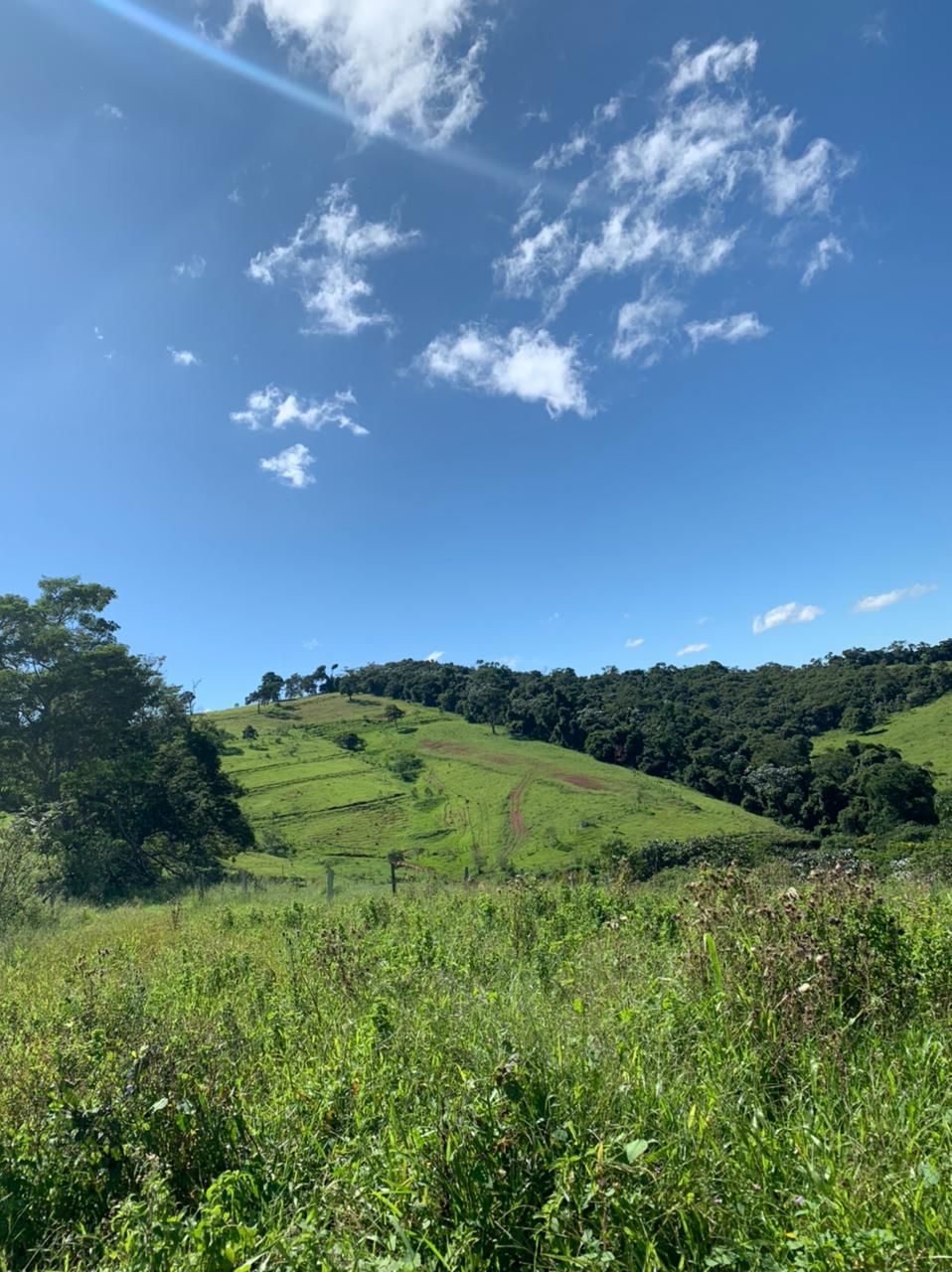 Terreno à venda, 500m² - Foto 4