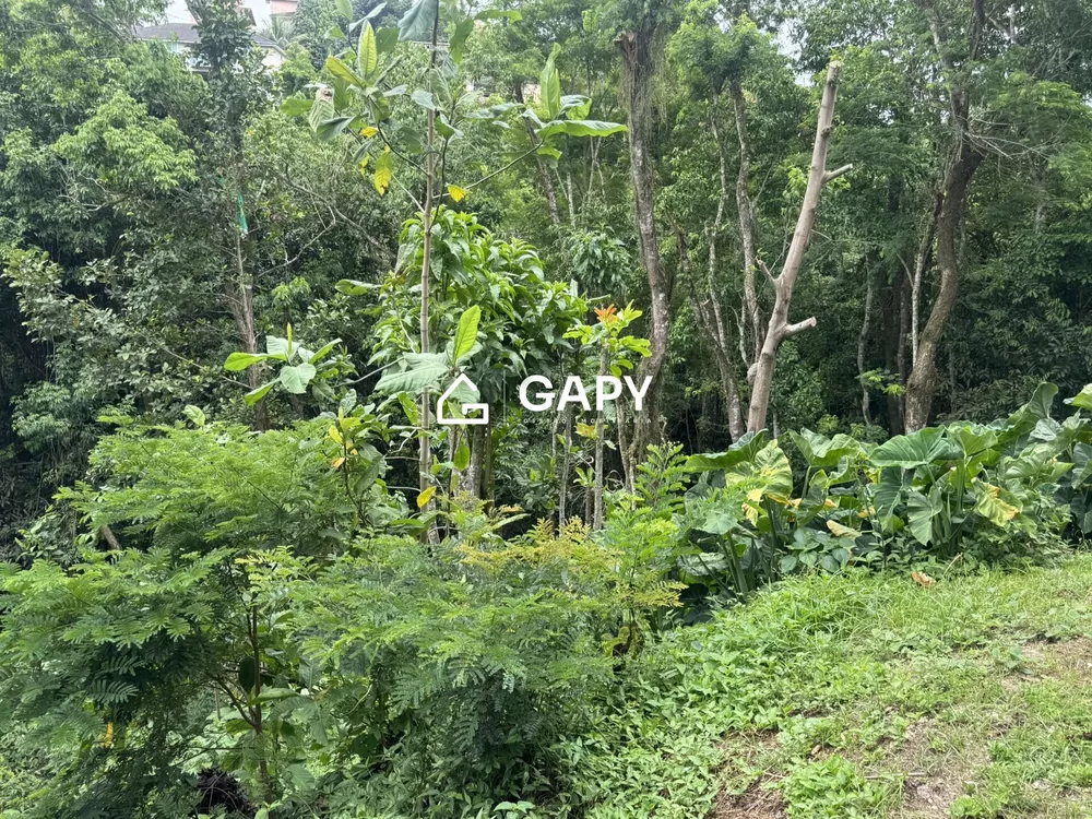 Terreno, 444 m² - Foto 33