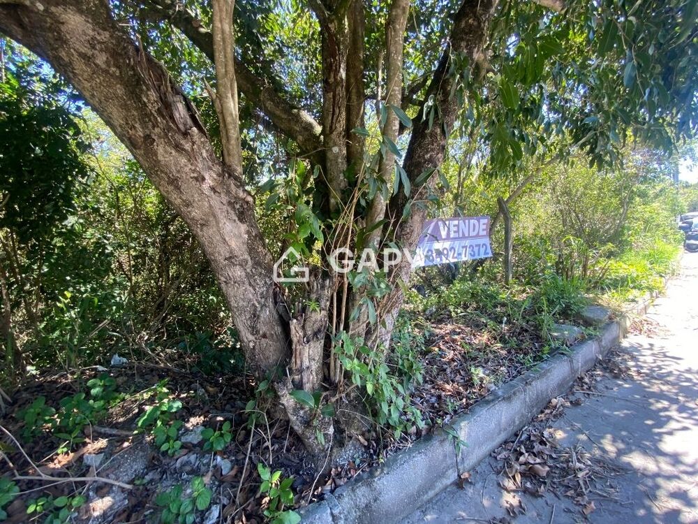 Terreno, 360 m² - Foto 5