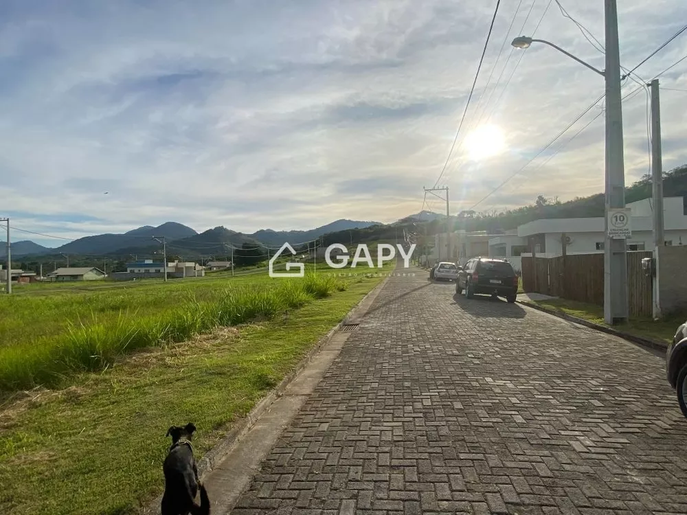 Terreno, 250 m² - Foto 23
