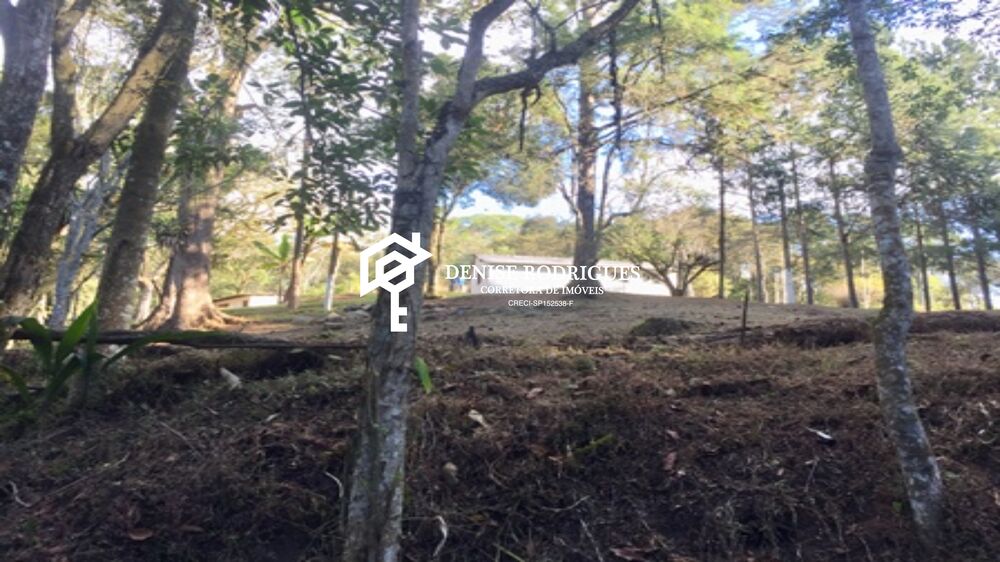 Sítio, 3 quartos, 4 hectares - Foto 1