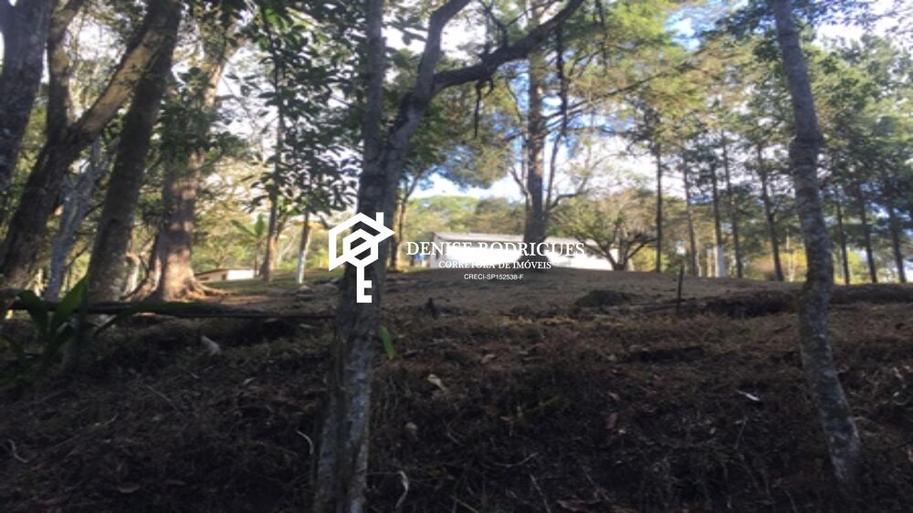 Sítio, 3 quartos, 4 hectares - Foto 13