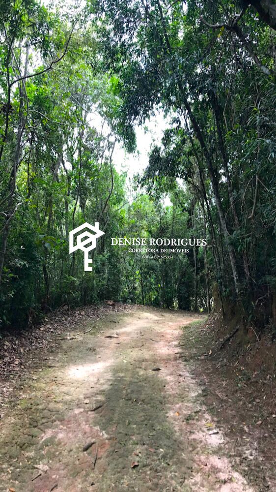 Casa, 4 quartos, 336 m² - Foto 11