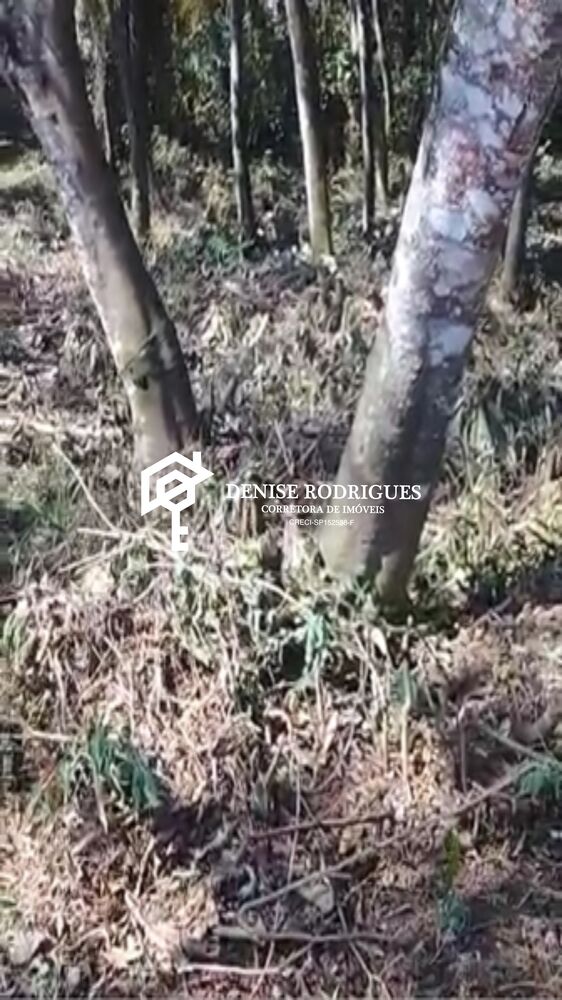 Terreno, 1355 m² - Foto 2