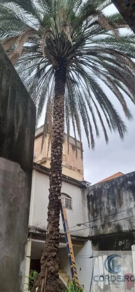Apartamento, 4 quartos, 360 m² - Foto 36