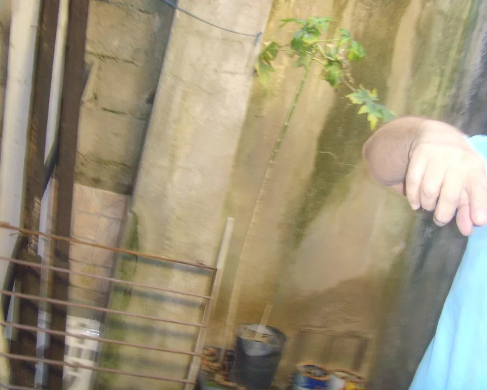 Casa, 1 quarto, 70 m² - Foto 9