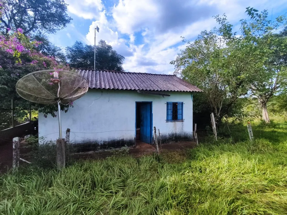Chácara, 5 hectares - Foto 8