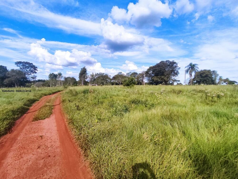 Chácara à venda, 50000m² - Foto 2