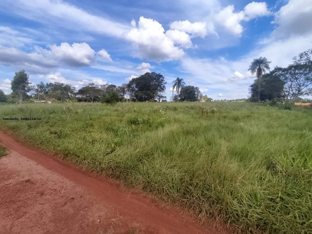 Chácara, 5 hectares - Foto 11
