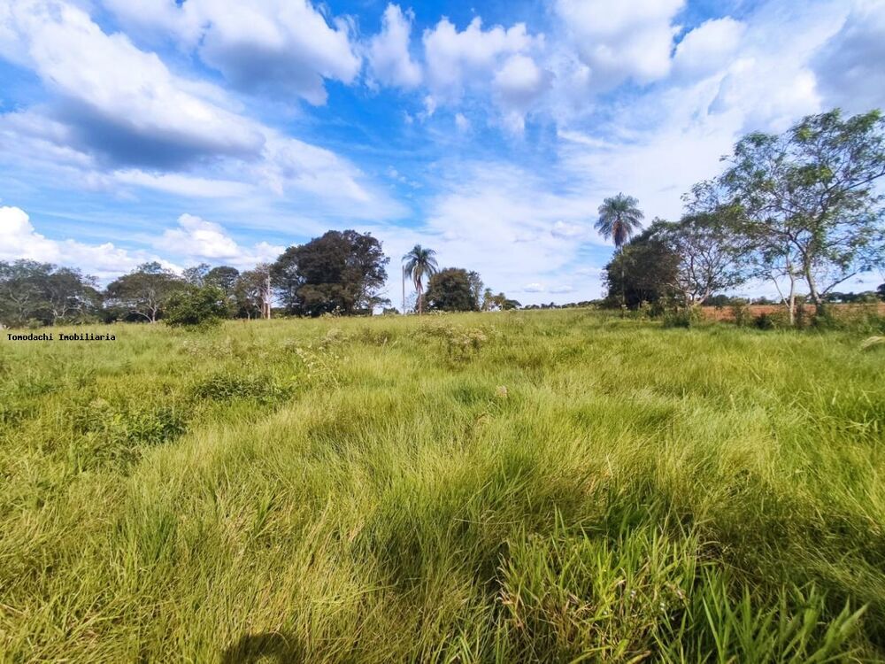 Chácara à venda, 50000m² - Foto 1