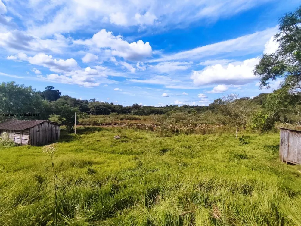 Chácara, 5 hectares - Foto 1