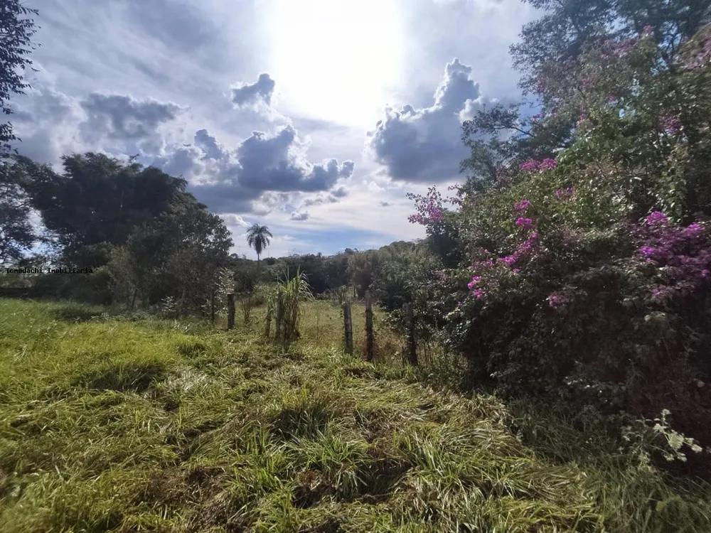 Chácara, 5 hectares - Foto 4