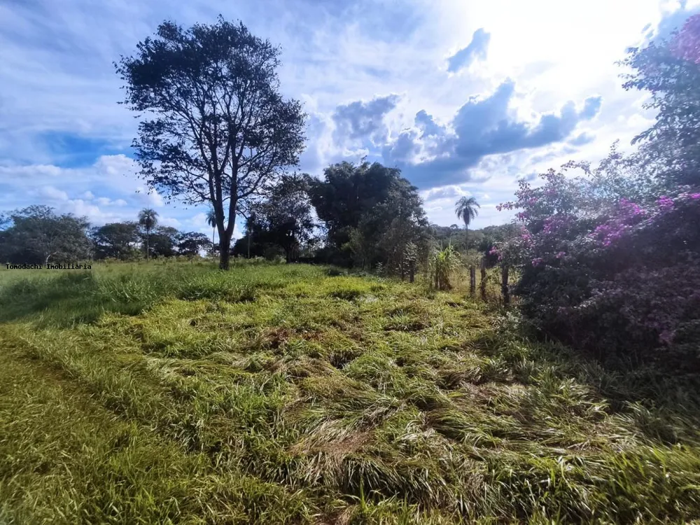 Chácara, 5 hectares - Foto 6
