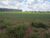 Sítio, 4 hectares - Foto 1