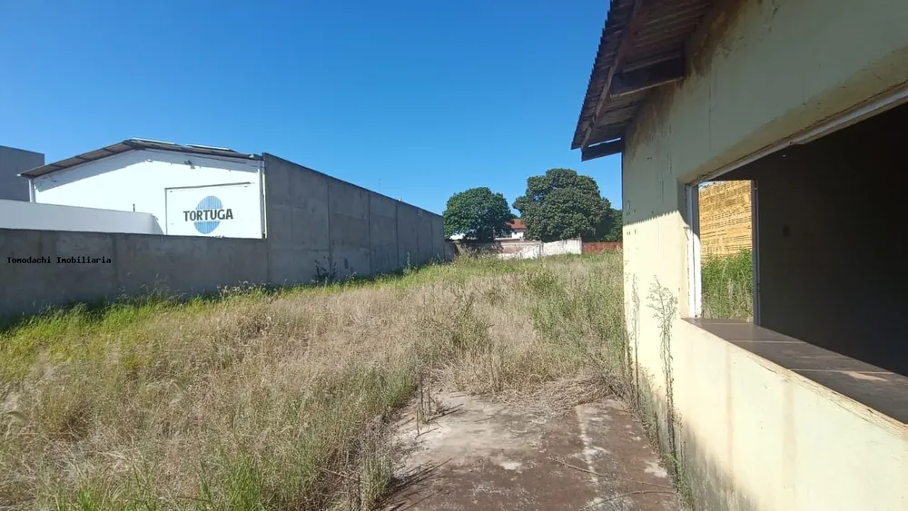 Terreno - Foto 4