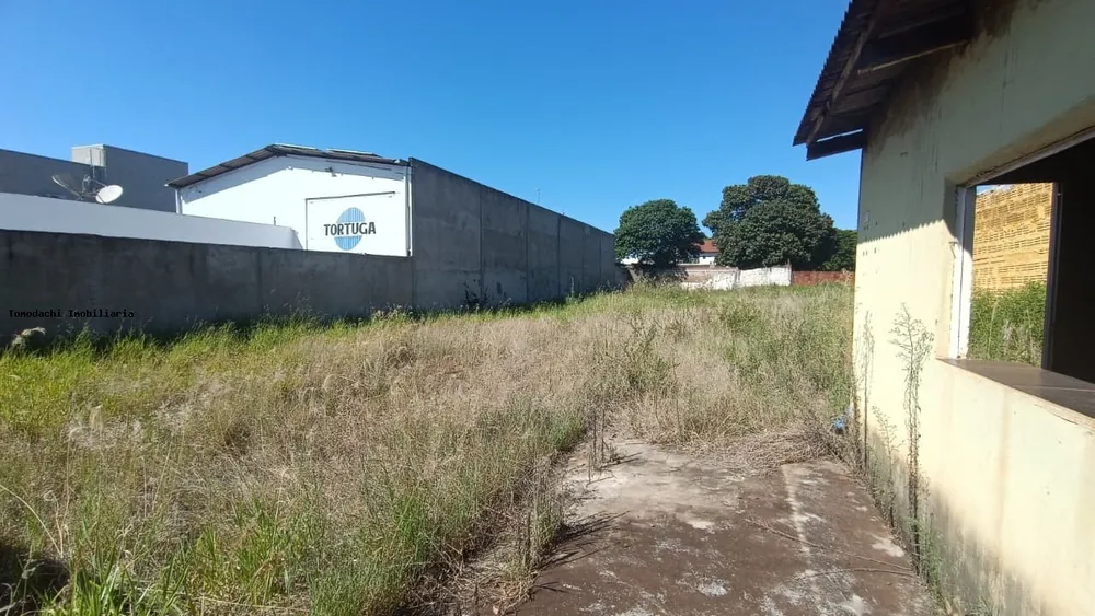 Terreno - Foto 3