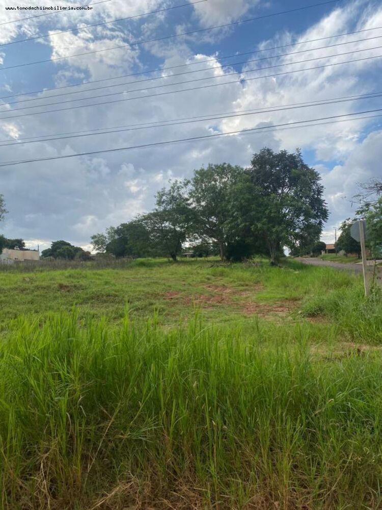 Terreno, 194 m² - Foto 1