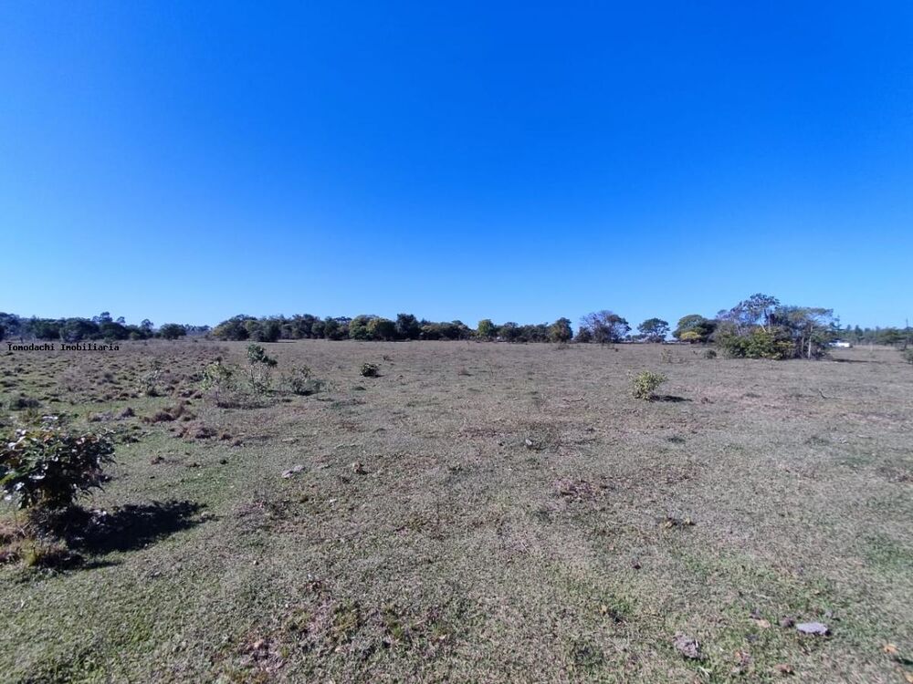 Chácara à venda, 20000m² - Foto 4