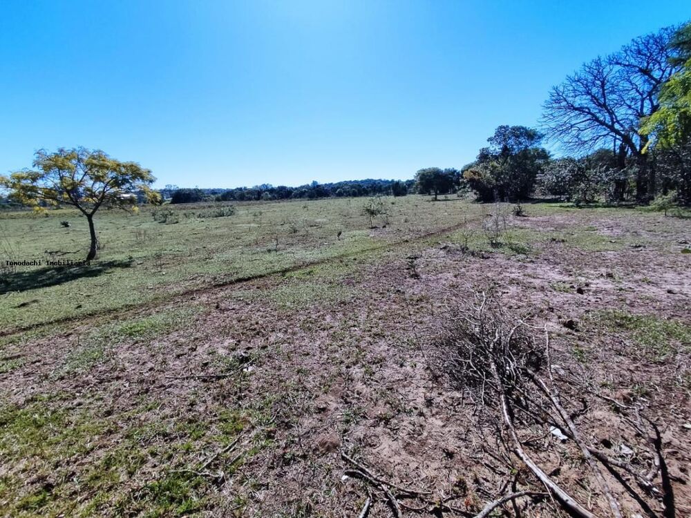 Chácara à venda, 20000m² - Foto 2