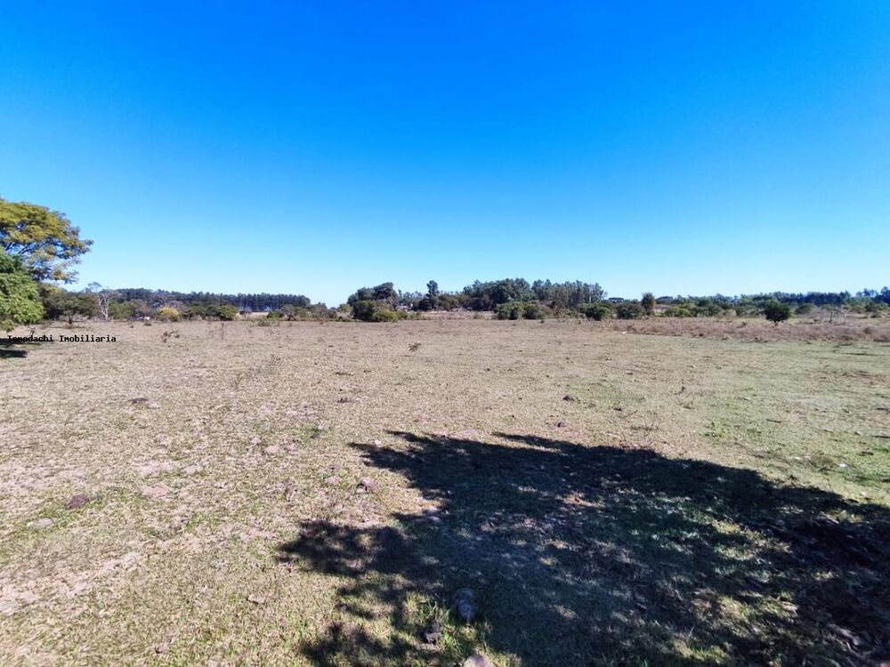 Chácara à venda, 20000m² - Foto 3