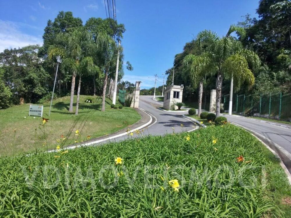 Terreno, 250 m² - Foto 6