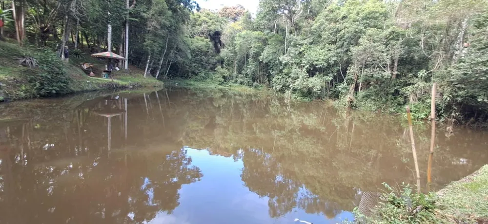 Chácara, 3 quartos, 1 hectares - Foto 14