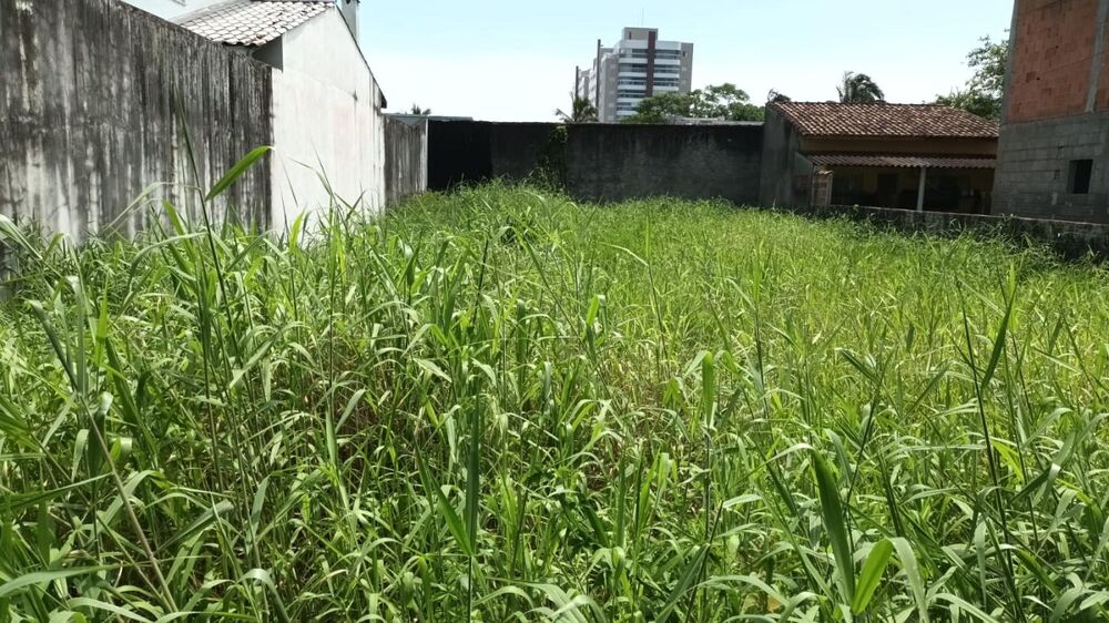Terreno, 300 m² - Foto 1