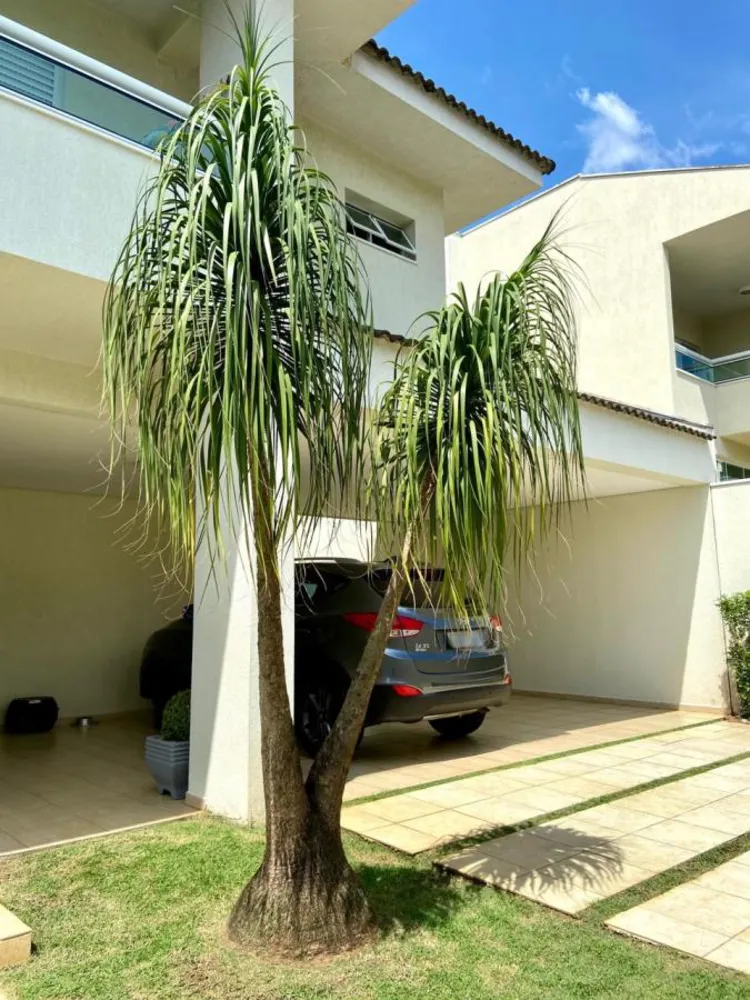 Casa, 3 quartos, 348 m² - Foto 10