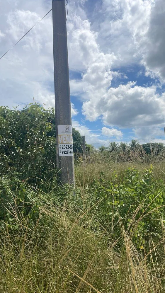 Terreno, 2000 m² - Foto 6