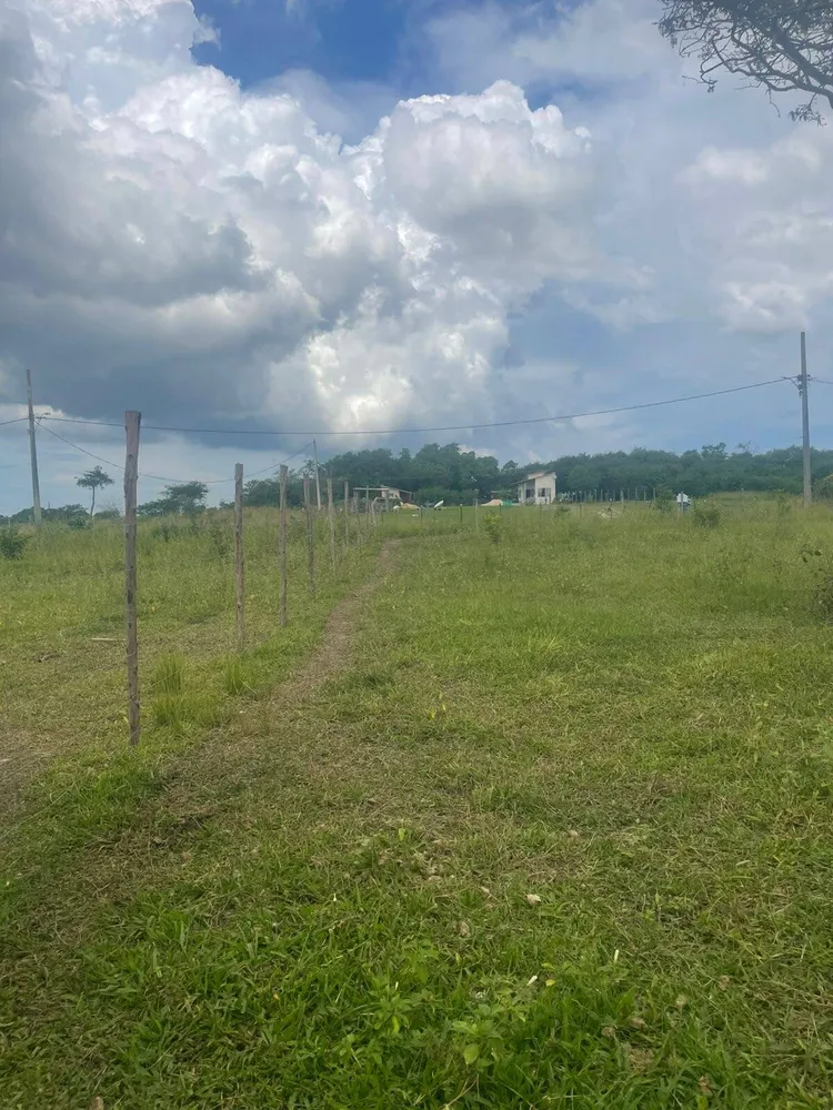 Terreno, 2000 m² - Foto 1