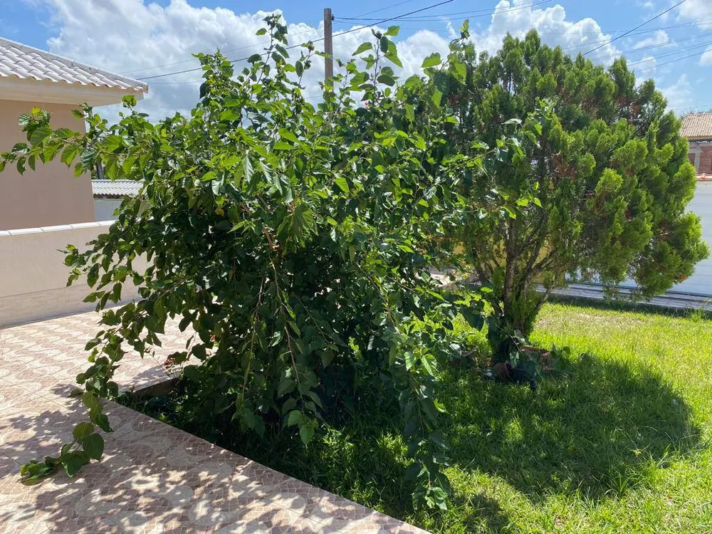 Casa, 2 quartos, 360 m² - Foto 30