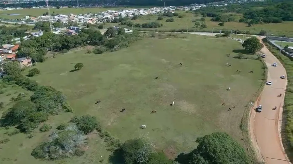 Terreno, 3 hectares - Foto 1