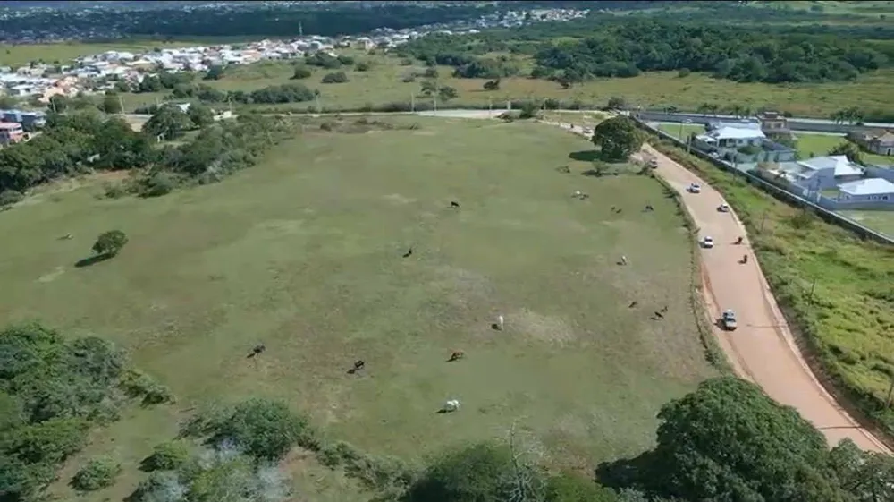 Terreno, 3 hectares - Foto 4