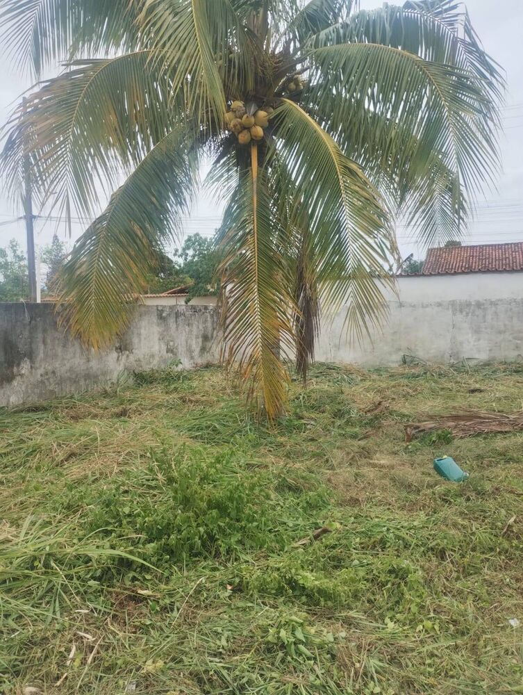 Terreno à venda, 600m² - Foto 4