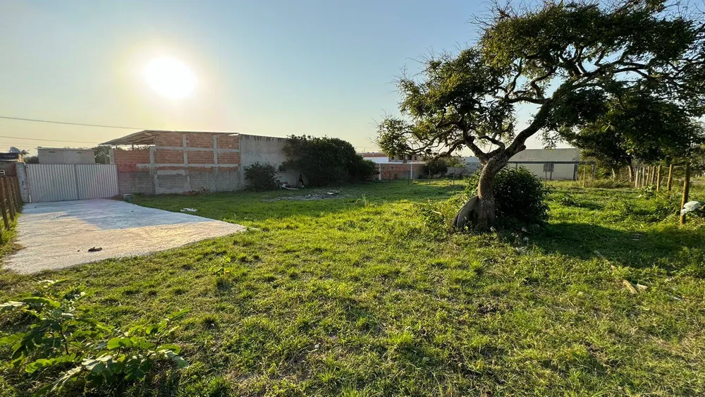 Depósito-Galpão, 1350 m² - Foto 4
