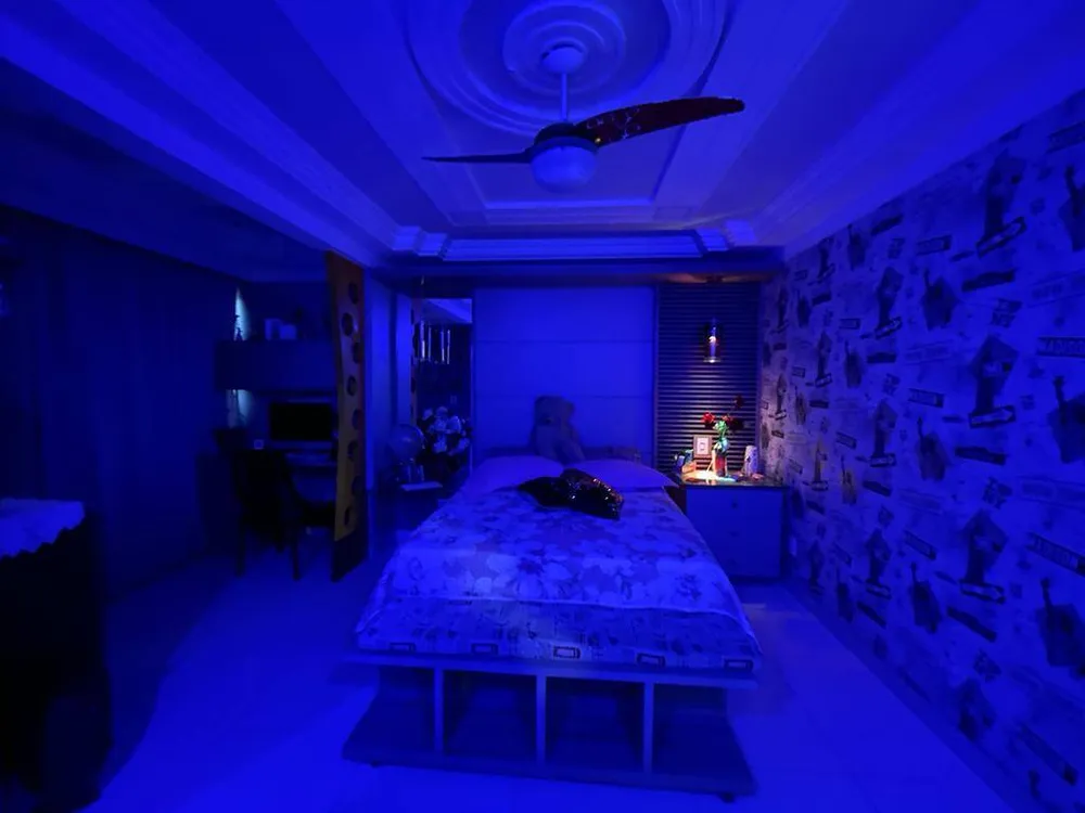 Casa, 5 quartos, 299 m² - Foto 8