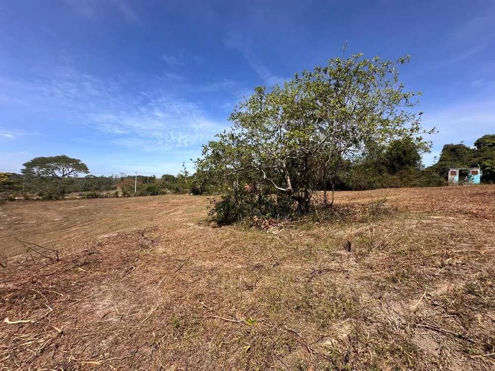 Sítio, 3 quartos, 3 hectares - Foto 31