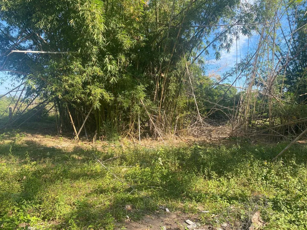Sítio, 3 quartos, 3 hectares - Foto 10