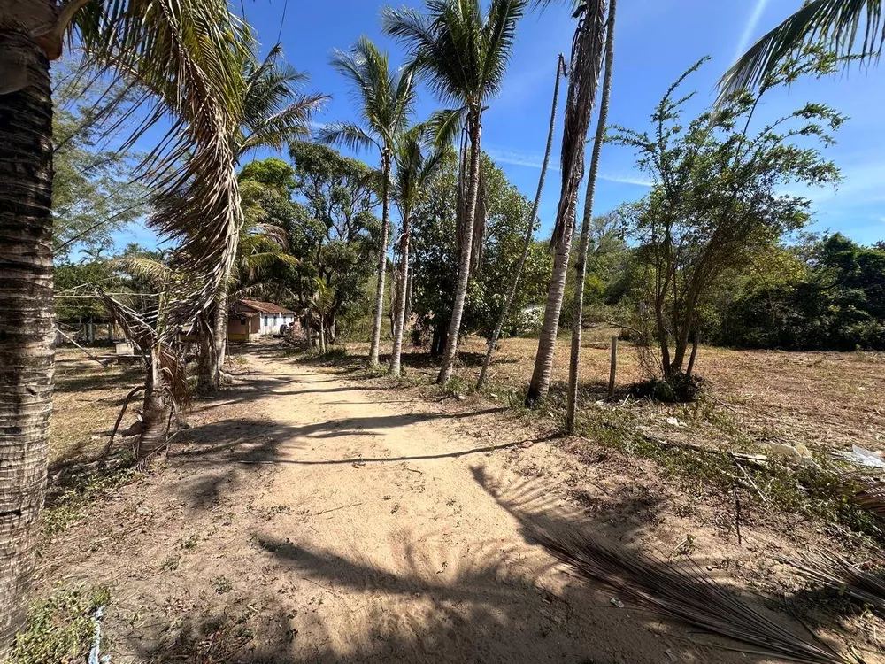 Sítio, 3 quartos, 3 hectares - Foto 41