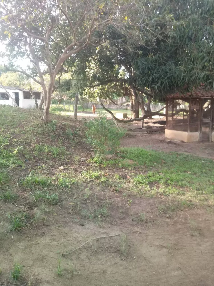 Sítio, 3 quartos, 3 hectares - Foto 6