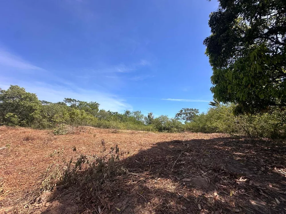 Sítio, 3 quartos, 3 hectares - Foto 42