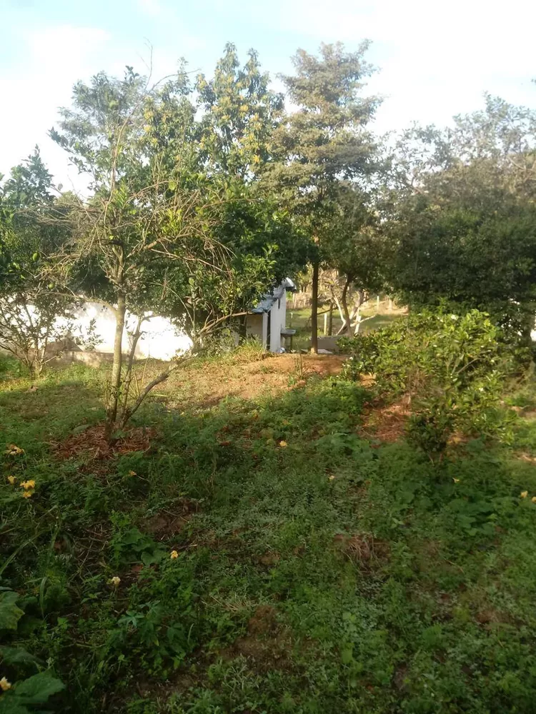 Sítio, 3 quartos, 3 hectares - Foto 8