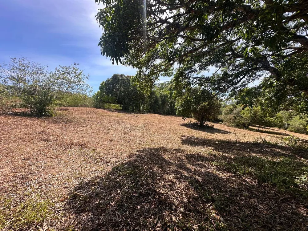 Sítio, 3 quartos, 3 hectares - Foto 44