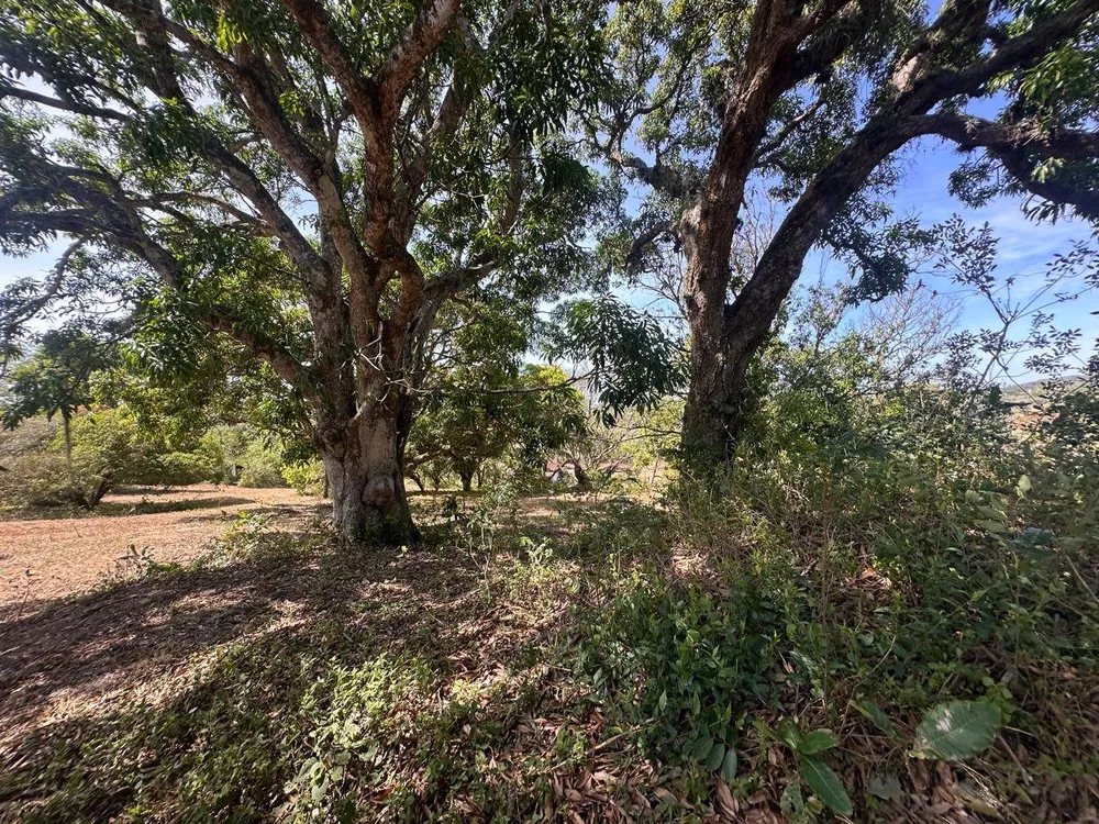 Sítio, 3 quartos, 3 hectares - Foto 30