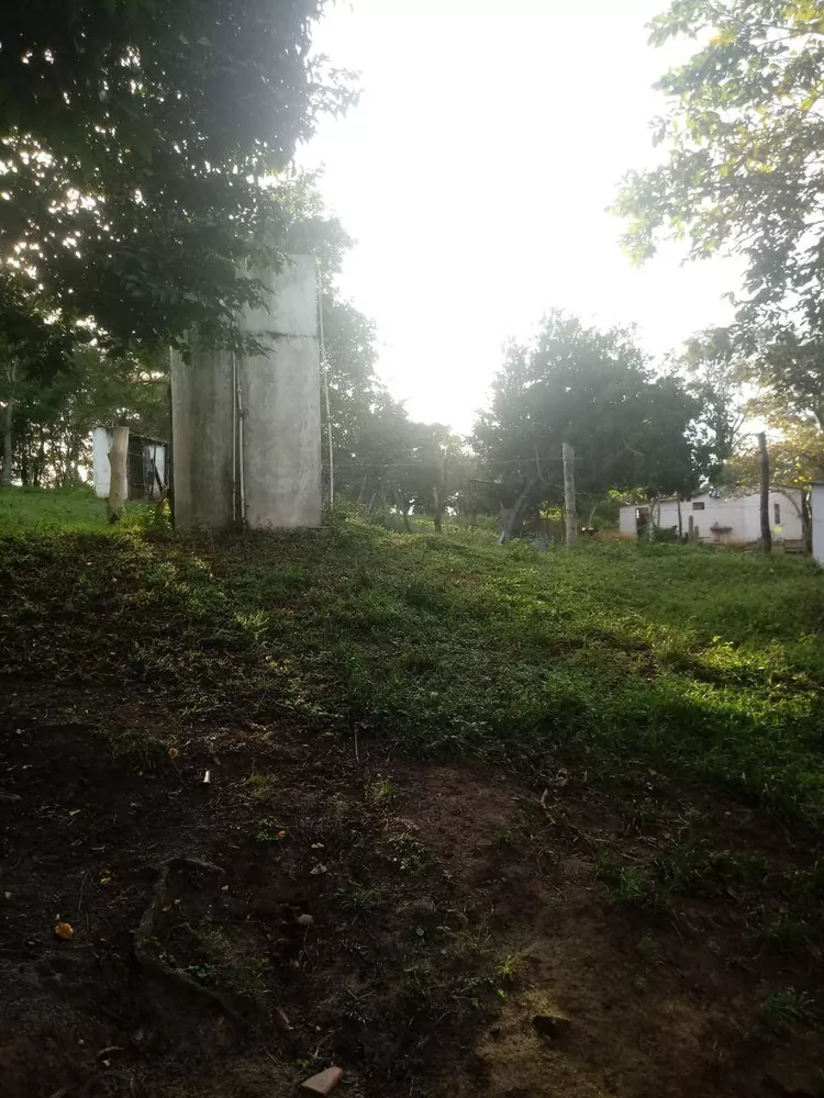 Sítio, 3 quartos, 3 hectares - Foto 9