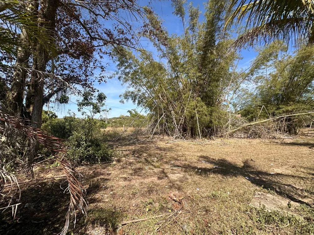 Sítio, 3 quartos, 3 hectares - Foto 35