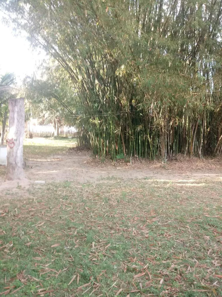 Sítio, 3 quartos, 3 hectares - Foto 17