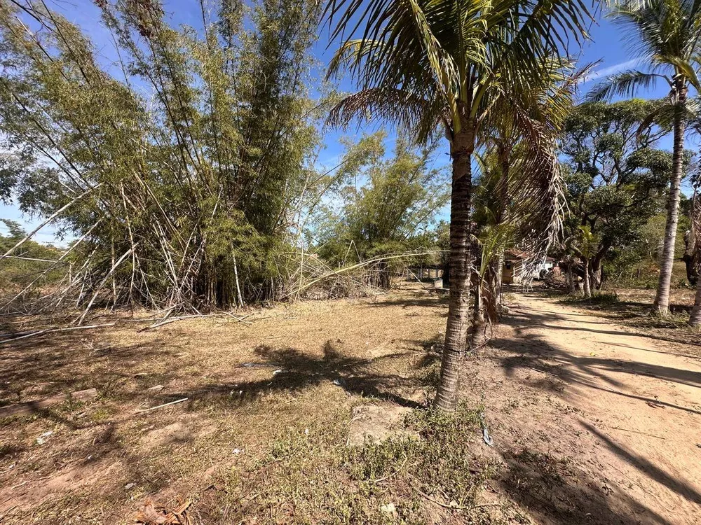 Sítio, 3 quartos, 3 hectares - Foto 39