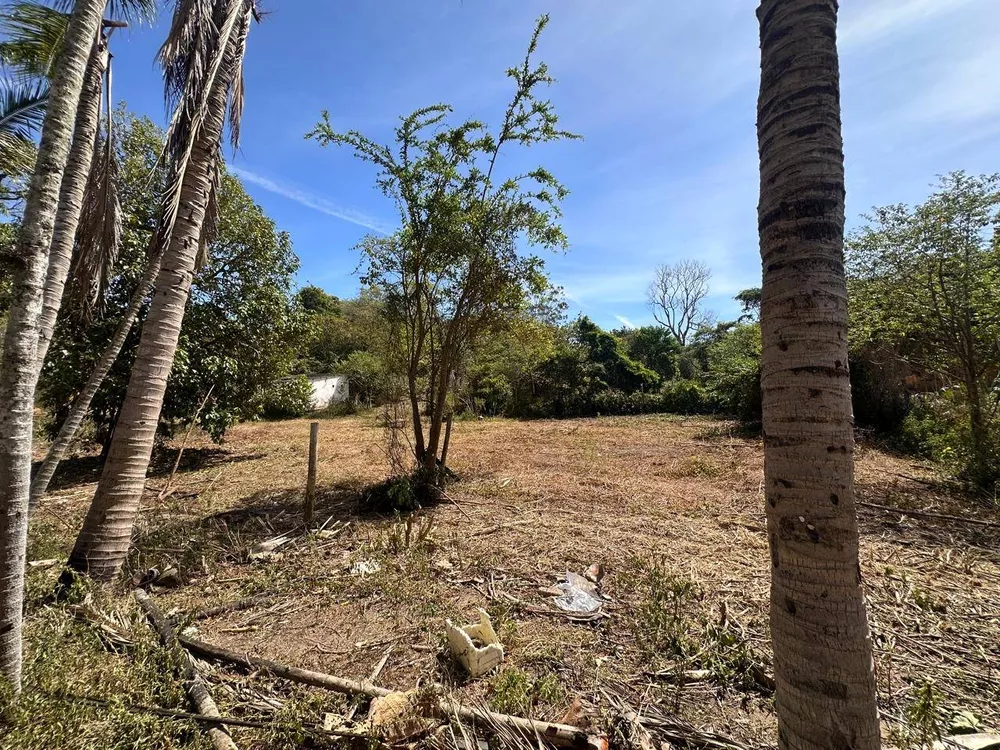 Sítio, 3 quartos, 3 hectares - Foto 34